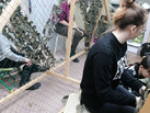IMG-20240120-WA0012