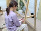 IMG-20240305-WA0045