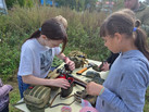 IMG-20250922-WA0008