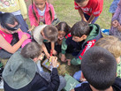 IMG-20250922-WA0013