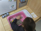 IMG_20260413_114552_158