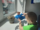 IMG_20260512_101819_374