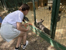 IMG_20260604_112513_881