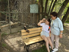 IMG_20260604_112521_892
