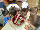 IMG_20260617_120931_158