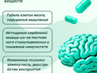 11_4 Профил