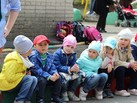 IMG_8806