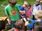 IMG_20180615_124021