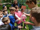 IMG_20180615_124943