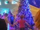 IMG-20181214-WA0055