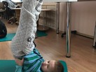 IMG-20181214-WA0036
