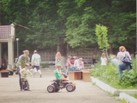 dobr_avtob_20_07_19 (6)