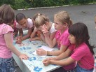 IMG_20190803_150446_286